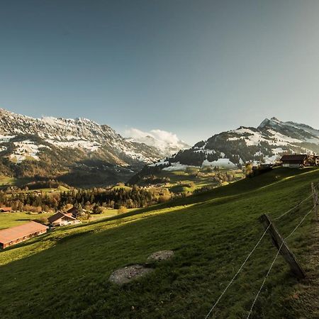 Chalet Bergwelt Frutigen Exterior photo